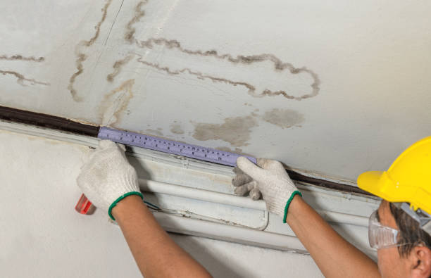 Reliable Mold Remediation contractor in Northbridge, MA by Water Damage Irwin